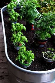 Urban Container Gardening Jojo Rom Neither Soil For Container Gardening Vegetables Container Gardening Vegetables Gardening For Beginners Frugal Gardening