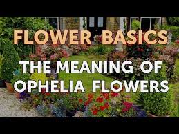 I gave them a picture of what i wanted, and they created it exactly the way i had in mind. The Meaning Of Ophelia Flowers Youtube