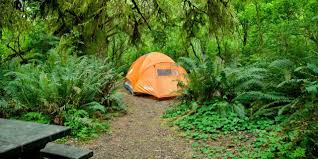 We did not find results for: Camping In The Redwoods Visit California