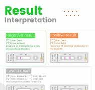 Canine Brucella Antibody Rapid Test
