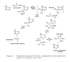 C 12 h 19 cln 4 o 7 p 2. Reactions Of Thiamine Pyrophosphate