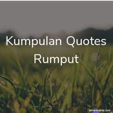 We did not find results for: Kumpulan Quotes Kata Kata Bijak Tentang Rumput Inspiratif Dan Memotivasi