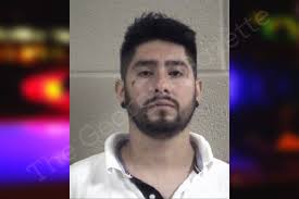 Adolfo Pena-Pontaza — Whitfield County Jail Bookings