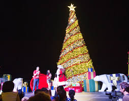 Maybe you would like to learn more about one of these? Thousands Celebrate Tree Lighting Cayman Compass