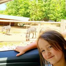 Little Light of Homeschool