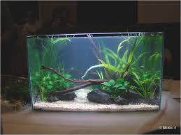 160l Aquascape Hardscape Aquarium Pinterest Aquariums From Simple Aquascaping Ideas Source Pint Fish Aquarium Decorations Tropical Fish Tanks Aquarium Design