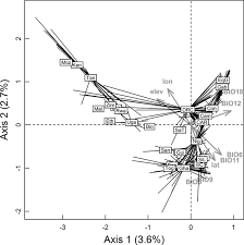 Image result for Oubanguia africana