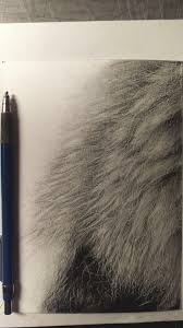 Now in the head, add five long teardrop shapes with circles between them. Drawing Lion Mane Onlypencil Com Tutorials