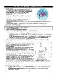 Check spelling or type a new query. Cell City Worksheet Answer Key Cell City Worksheet Answer Key Pdf Pdf4pro