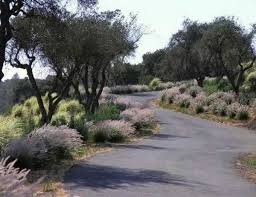 Driveway landscaping ideas to improve living outdoor. Charming Country Home Driveways Natural Driveway Landscaping Ideas