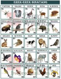 Mengulas tentang erek erek binatang 2d bergambar lengkap ber abjad maupun kode alam 2d yang terkait dengan hewan yang anda alami lewat mimpi. 35 Ide Hewan Buku Gambar Tafsir Mimpi Buku