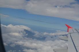 Diferite specii de pasari au metode variate de zbor, care pot ajuta la identificarea lor de catre privitori. Primul Zbor Cu Avionul Tot Ce Trebuie SÄƒ È™tii T2t Ro