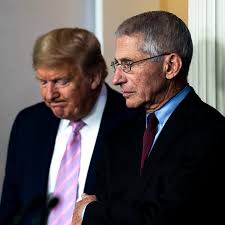 Red velvet makes her entrance. Trump Lashes Out At Fauci Amid Criticism Of Slow Virus Response The New York Times