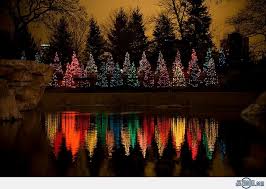 We did not find results for: Lincoln Park Zoo Christmas Lights Outdoor Christmas Lights Outdoor Christmas Christmas Tree Lighting