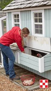 chicken coop when hens begin laying collect eggs 2 3 times per day on our farm we built the chicken coop decor chicken coop pallets portable chicken coop
