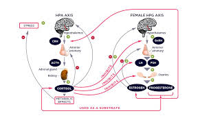 Health Pro Blog On X: 