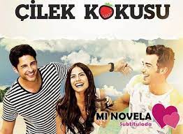 No 309 Subtitulado Mi Novela Subtitulada Novelas Series Y Novelas Series Completas En Espanol