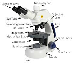 Are made of sturdy materials that help them last for a long time with enhanced durability and sustainability over the years. Swift Microscope Parts