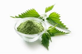 L'ortie était déjà bien connue des grecs et des romains pour ses propriétés thérapeutiques. La Poudre D Ortie Ingredient Miracle