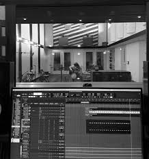 Image result for Tarenna junodii