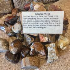New Arrival Petrified Wood Petrified Wood Is From The Greek Root Petro Meaning Rock Or Wood F Petrified Wood Petrified Wood Jewelry Petrified Wood Meaning