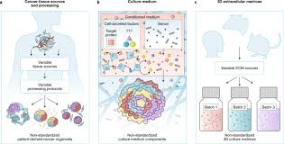Animal cell culture is the process of growing cell in vitro in a suitable culture medium which contains a mixture of nutrients and answer: Next Generation Cancer Organoids Nature Materials