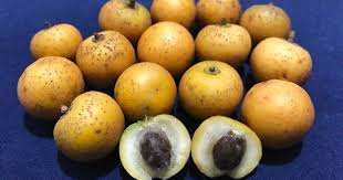 Juazeiro juazeiro é um município brasileiro do estado da bahia. Viveiro Ciprest Plantas Nativas E Exoticas Jua Ou Juazeiro Ziziphus Joazeiro