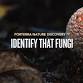 Identify that Fungi