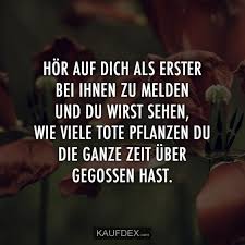 Hor Auf Dich Als Erster Zu Melden Und Du Wirst Sehen Kaufdex Neues Leben Zitate Gute Spruche Leben Weise Zitate