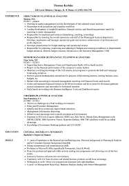 Maintain and develop various financial models and standard templates. Planning Analysis Resume Samples Velvet Jobs