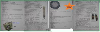 Feb 17, 2021 · kunci jawaban ipa kelas 9 kurtilas halaman 103 : Kunci Jawaban Ipa Essay Kelas 8 Halaman 149 Sampai 152 Brainly Co Id