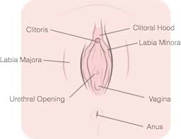 Free Top 10 Tips how to Master Fingering Porn Video HD