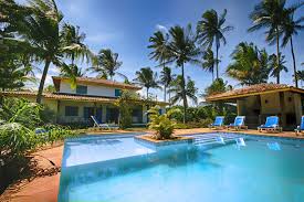 Our palm trees for sale in melbourne are palm tree sales! Pool Chairs Backyard Palm Free Photo On Pixabay