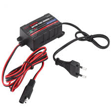 During the first week of charging, keep an eye on the system. Automatic Battery Trickle Charger Maintainer For Car Motor Atv Rv European Plug Battery Charger 0 75a 6v 12v Aliexpress