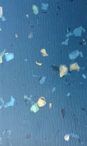 Blue Lino Studio Blue