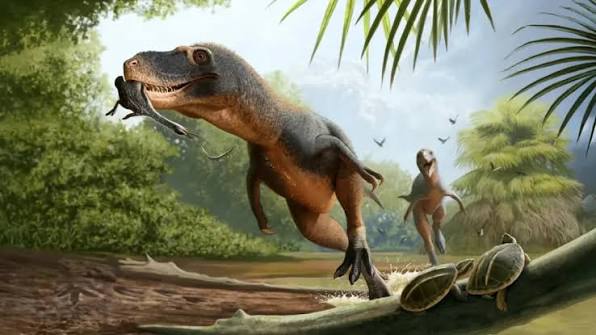 Dinossauro semelhante a galinha pode ter comido frutas Fósseis de  Infernogallus jamesi, descobertos em Montana, revelam que essa espécie pode  ter se alimentado de frutas macias, semelhante ao compo