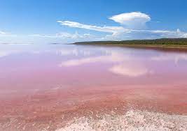 2,707 likes · 3 talking about this. Lake Hillier Ein Pinker See Ein Pinkes Wunder Travelcircus Urlaubsziele