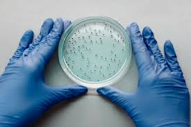 #ebola #ebola2021 #ebolavirus #guinea i rather agree with the white house: Ebola Outbreak 2021 4 People Returning To The Us From West Africa Being Monitored For Ebola In Oregon Science Times