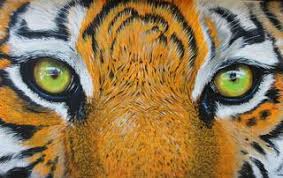When Tiger Leaps | Psychology Today United Kingdom