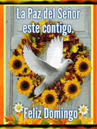 Bendecido no es tener bienes materiales, bendecido es tener la presencia del espíritu santo en tu vida. Bendecido Domingo Gif Icegif