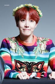 Káº¿t quáº£ hÃ¬nh áº£nh cho j hope cute