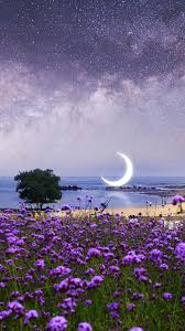 Beach Flowers Farm Milky Way Surreal Photoshop Wallpaper Photoshop Wallpapers Nature Wallpaper Surreal Photoshop