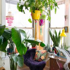 We did not find results for: Houseplant Grow Light Guide Apartment Therapy