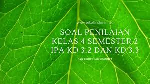 Jul 21, 2018 · 4. Soal Penilaian Kelas 4 Semester 2 Ipa Kd 3 2 Dan Kd 3 3 Sekolahdasar Net