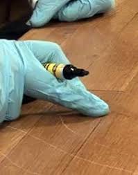 How To Remove Scratches From Hardwood Floors Scratched Wood Floors Hardwood Floor Scratches Flooring