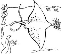 Big Ocean Stingray Coloring Page