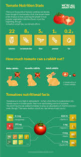 How to keep rabbits out of a garden with a decoy owl. Can Rabbits Eat Tomatoes We Re All About Pets
