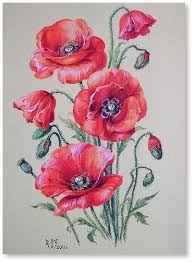 10 Mesmerising Drawing Flowers Mandala Ideas Poppy Painting Poppy Flower Art Poppy Drawing
