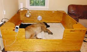 Alibaba.com offers 1,000 whelping puppies products. Whelping Box Construction Plans Dog Whelping Box Whelping Box Dog Breeding Kennels