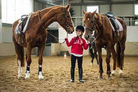 Maybe you would like to learn more about one of these? Sxolh Ippasias Tatoioy Ippikos Omilos Mega Sports Trot Gr